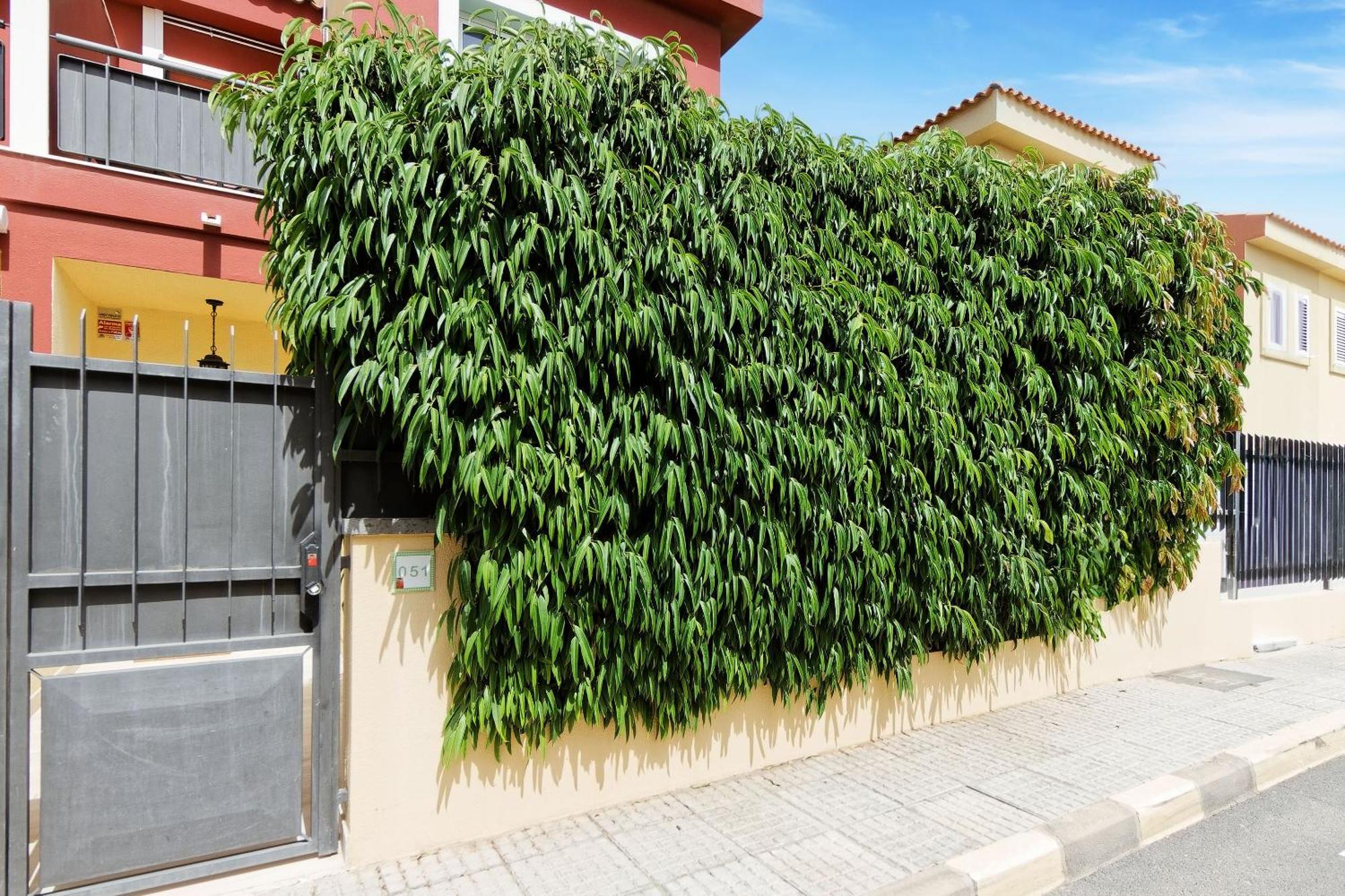 Villa Anil Meloneras San Bartolomé Eksteriør billede