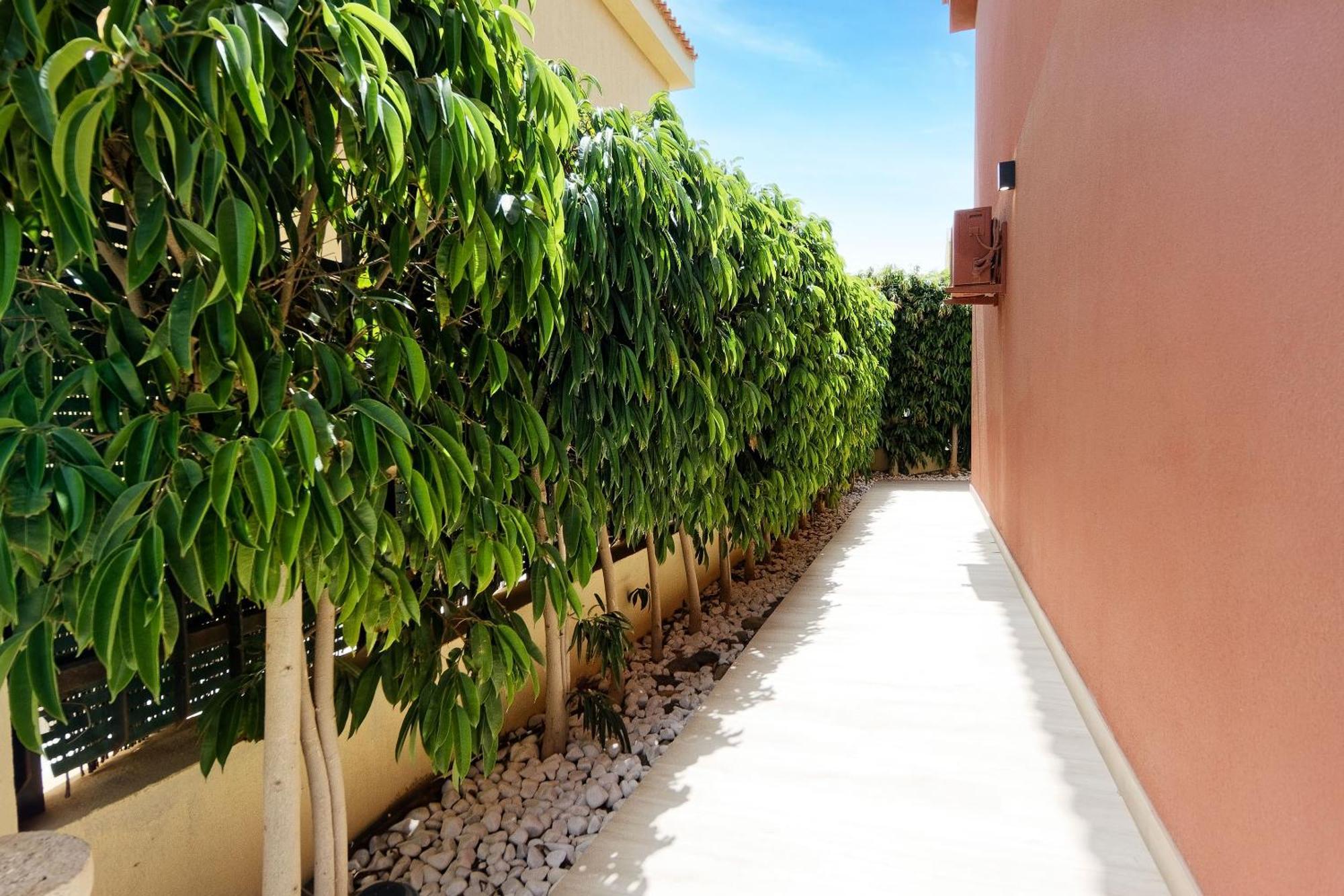 Villa Anil Meloneras San Bartolomé Eksteriør billede